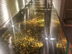 -晶采轩(虹桥路店)