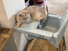 -小时光咖啡馆(北锣鼓巷店)