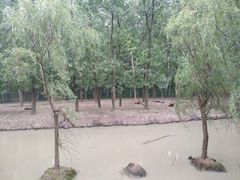 -溱湖国家湿地公园