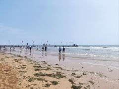 -日照海滨国家森林公园