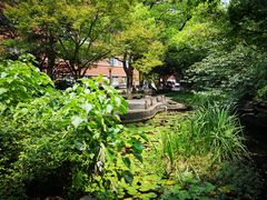 -浙江大学医学院附属第二医院(解放路院区)