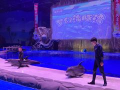 -华夏文旅海洋公园