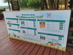 -西青郊野公园