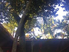 景观位-农厨好味·温泉鹅·农家菜