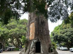 -青青世界