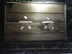 -百好乐宠物友好餐厅(朝外大街店)