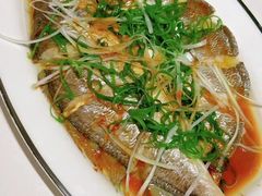 -天鹅到家·保姆月嫂育儿嫂(龙华店)