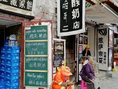 -古树酸奶(八廓南街店)