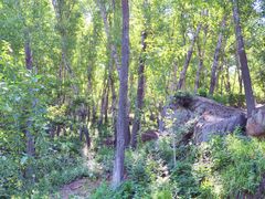 -阳台山自然风景区