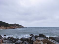 -广东惠东海龟国家级自然保护区