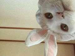 -和生记牛肉火勺店(汇兴家园店)