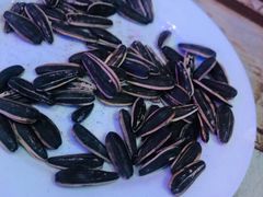 -沪上名羊天下•烤羊腿•东北烧烤•小龙虾(浦东直营总店)