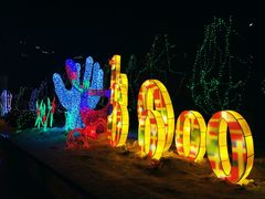 -长春公园(普阳街道)