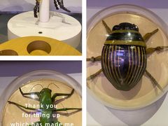 -陕西自然博物馆