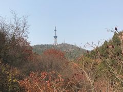 -府君山公园