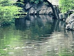 -郑和公园