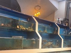 -原龙海鲜大排档(美食地标店)