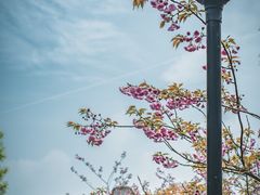 -杭州西湖风景名胜区-三生石