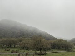 -大水川景区