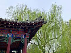 -福顺祥大盘鸡(临潼店)