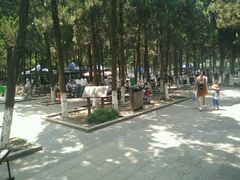 -白马涧龙池景区