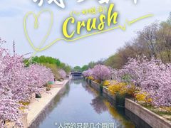 -元大都城垣遗址公园