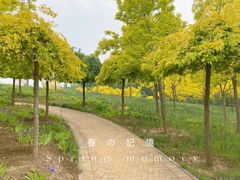 -东郊湿地公园