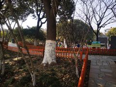 -双拥公园