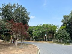 -广州市帽峰山景区