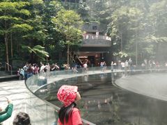 -樟宜机场免税店