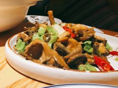 青椒青头菌-滇铺子·云南特色菜·第九届野生菌美食节(东风东路c86店)