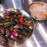 小核桃烤肉-被名字吸引