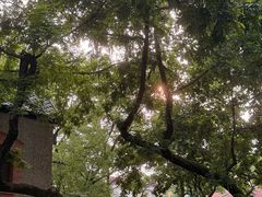 -徐家汇源景区-衡山公园