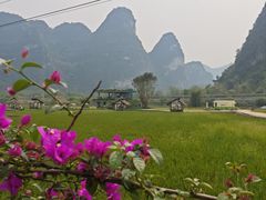 -明仕田园