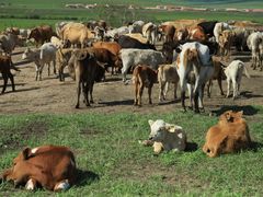 -塞罕坝国家级自然保护区