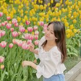 又到了一年一度和郁金香拍照的季节啦🌷
