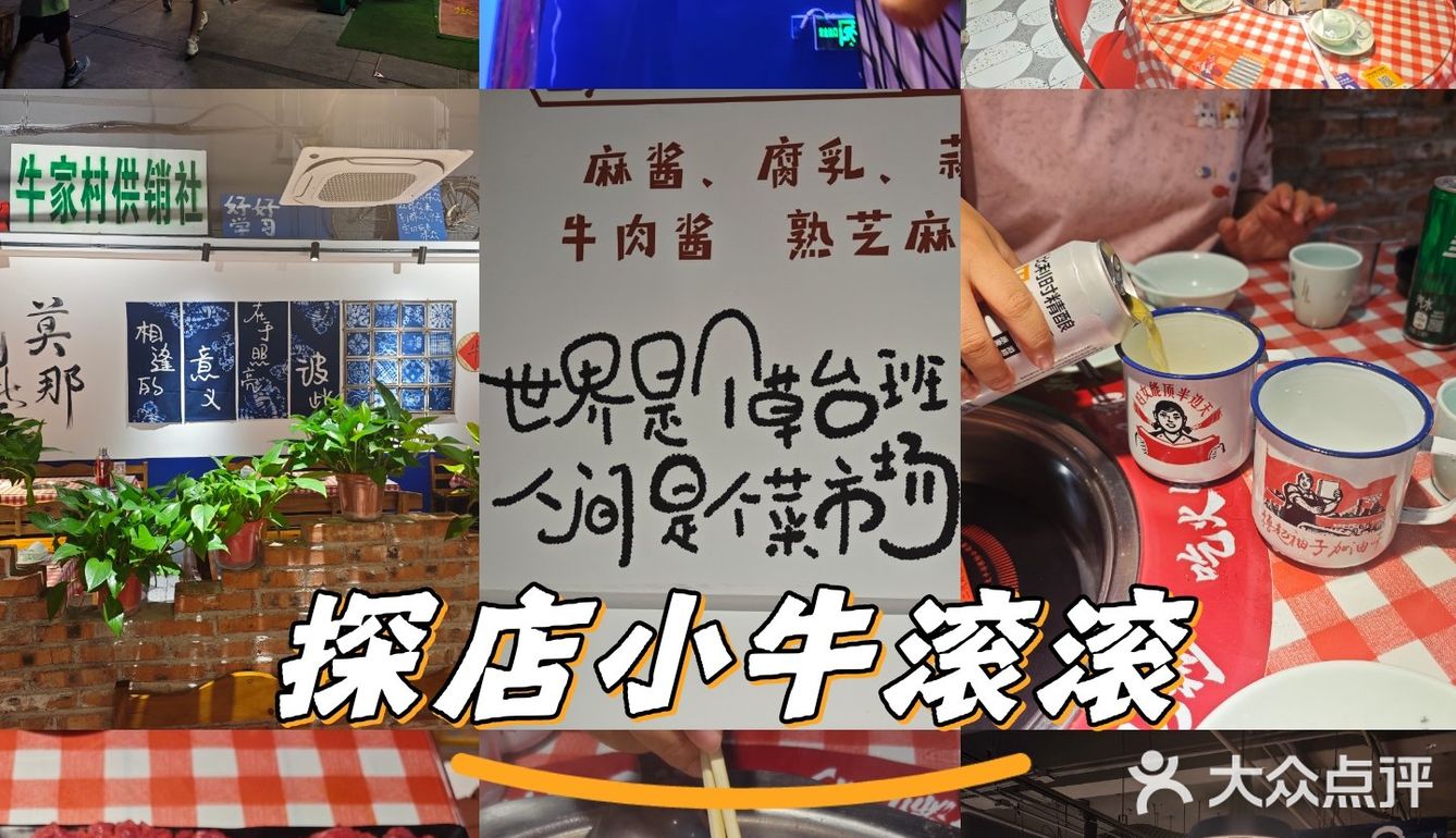  探店小牛滚滚