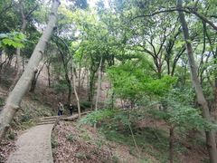 -上海佘山国家森林公园天马山园
