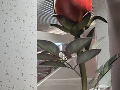 -爱情邮局
