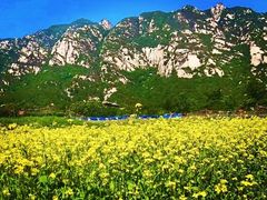 -北京凤凰岭