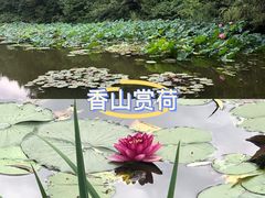 -香山公园