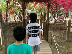 -鹿境梅花鹿生态园区
