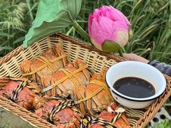 -七的湖·晚芳亭·阳澄湖农家菜·大闸蟹(莲花岛店)