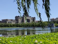 -莲花池公园
