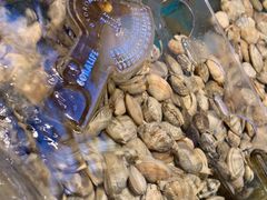 -魏铭鱼头捞饭(晋阳路店)