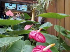 -鲜芋仙(财富中心店)