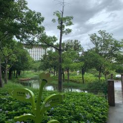 -广州市儿童公园