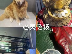-谜语人真人演绎沉浸式密室实景游戏剧场
