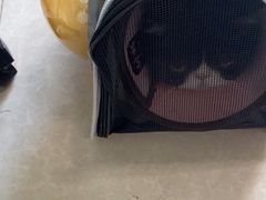 -瑞派福兴宠物医院犬猫全科·骨科·中西医结合(河东店)