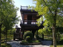 -天津东丽湖风景区